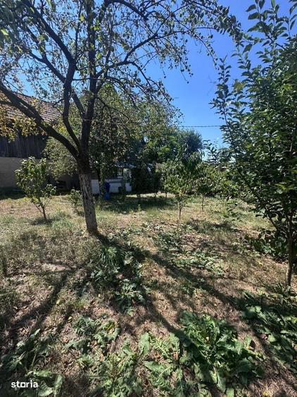 Casă cu 2 camere în Central