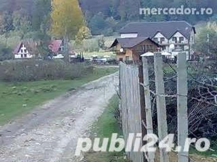 Teren de 1000 mp, în Central