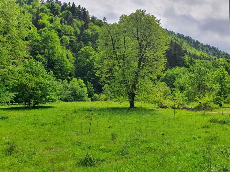 Teren Construcții intravilan de 20217 mp, în Exterior Sud