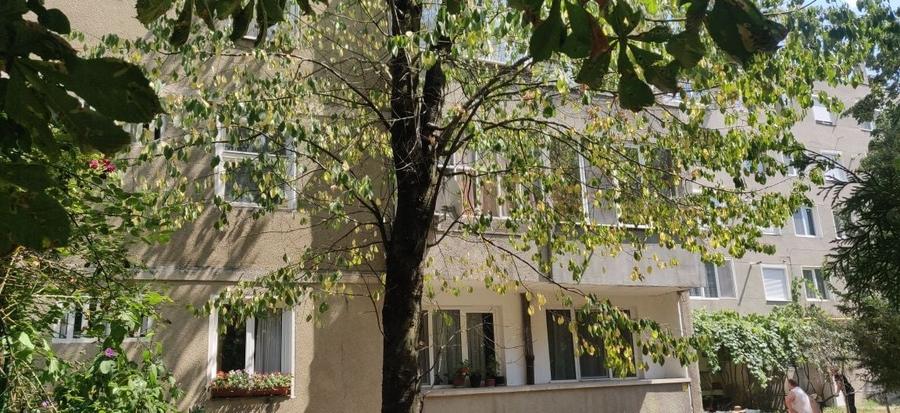 Garsonieră decomandată în Central