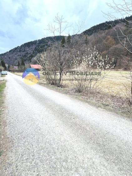 Teren intravilan de 2207 mp, în Tarcău