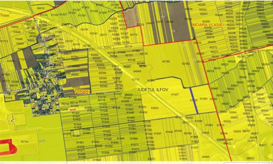 Teren Construcții intravilan de 6845 mp, în Dimieni