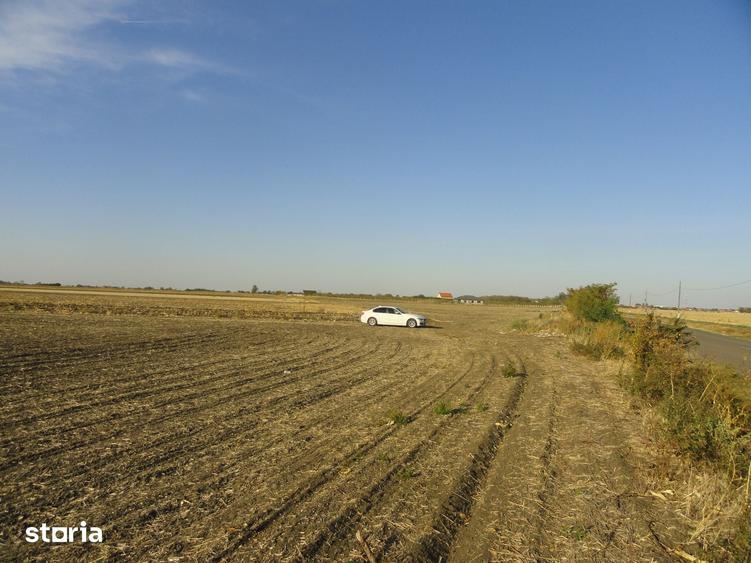 Teren de 53500 mp, în Șofronea