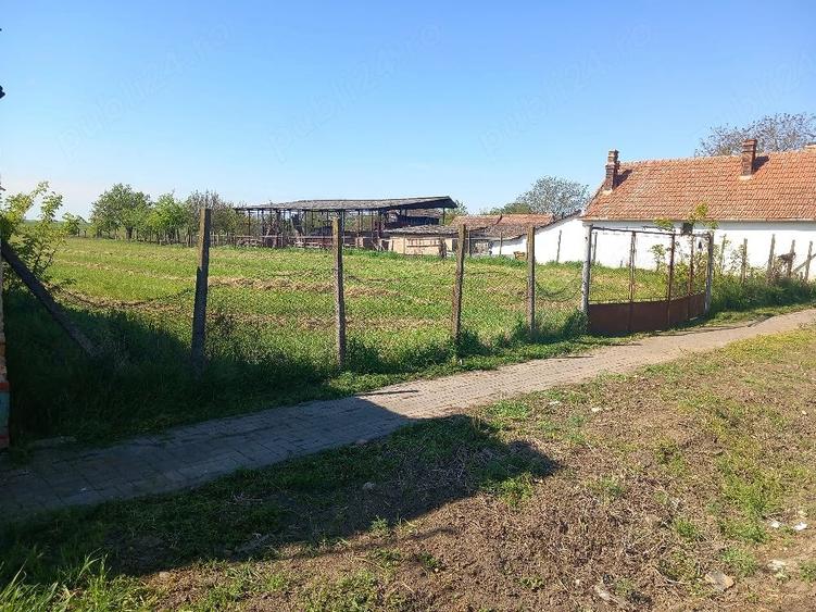 Teren de 2900 mp, în Comloșu Mare