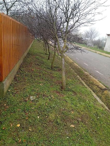 Casă cu 3 camere în Ceamurlia de Jos