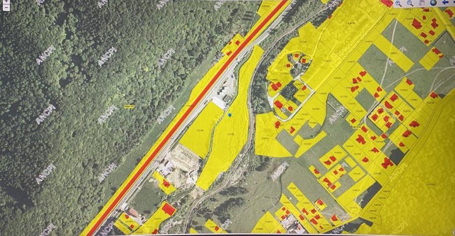 Teren 20.000 mp iesire DN1 spre Bucuresti - 2
