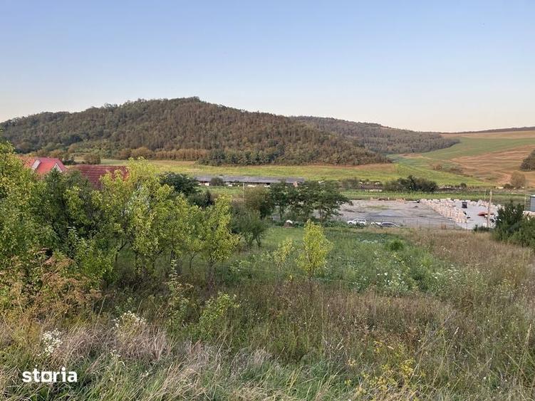 Teren de 1800 mp, în Libertății