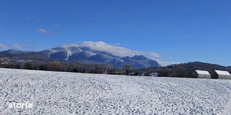 Teren de 5000 mp, în Pănicel