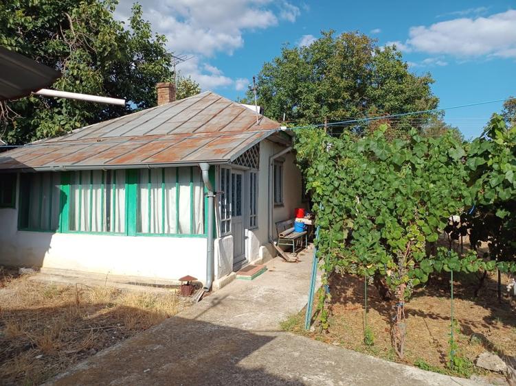 Casă cu 3 camere cu Teren 2400 Mp în Mircea Vodă