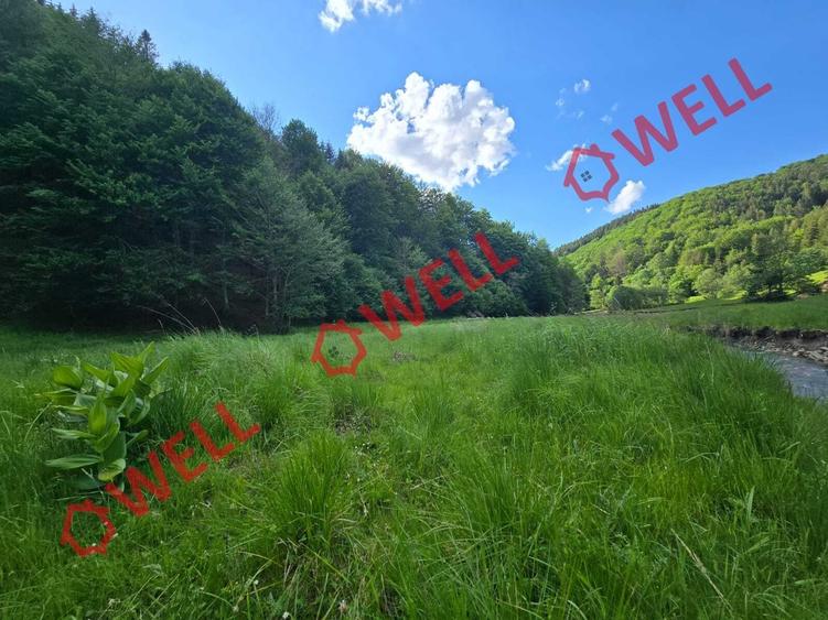 Teren agricol extravilan de 57000 mp, în Vama Buzăului