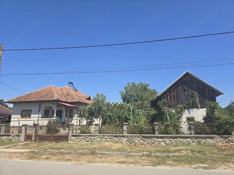Casă cu Teren 11397 Mp în Central