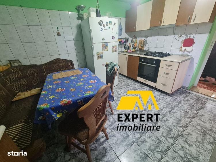 Casa Brailita sup 577 mp ,mobilata complet - 2