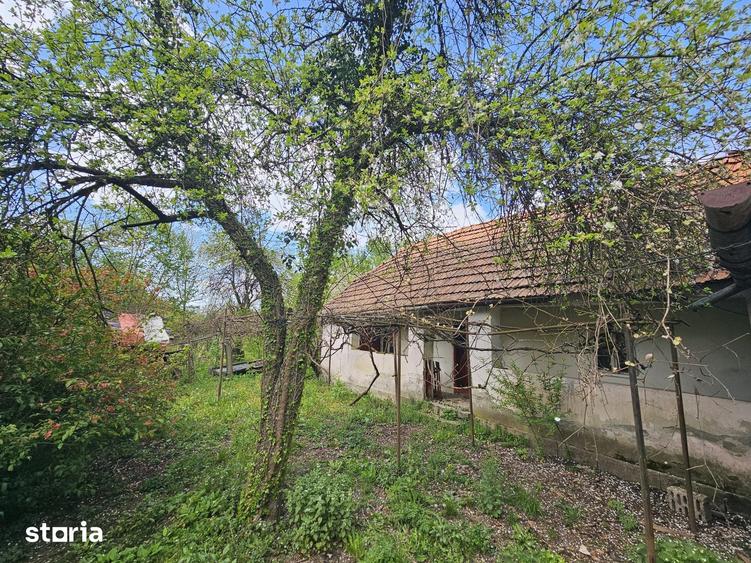 Casă cu 3 camere cu Teren 5571 Mp în Zam