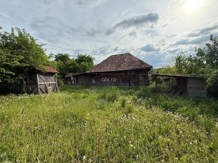 Casa+ Teren 4.825 mp teren in Boju | Utilitati: apa si curent