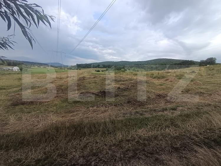 Teren Construcții de 3600 mp, în Podu Oltului