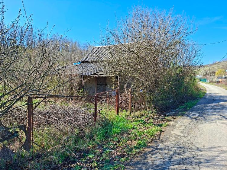 Teren Construcții extravilan de 2600 mp, în Ștefănești