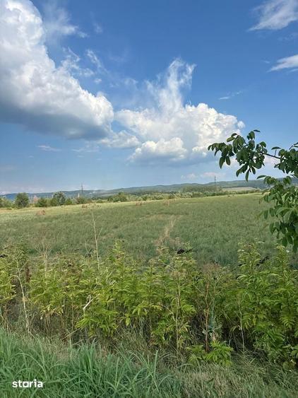 Teren de 20954 mp, în Mihăești