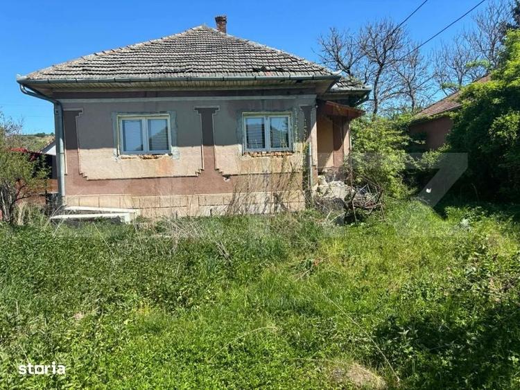 Casă cu 3 camere în Central