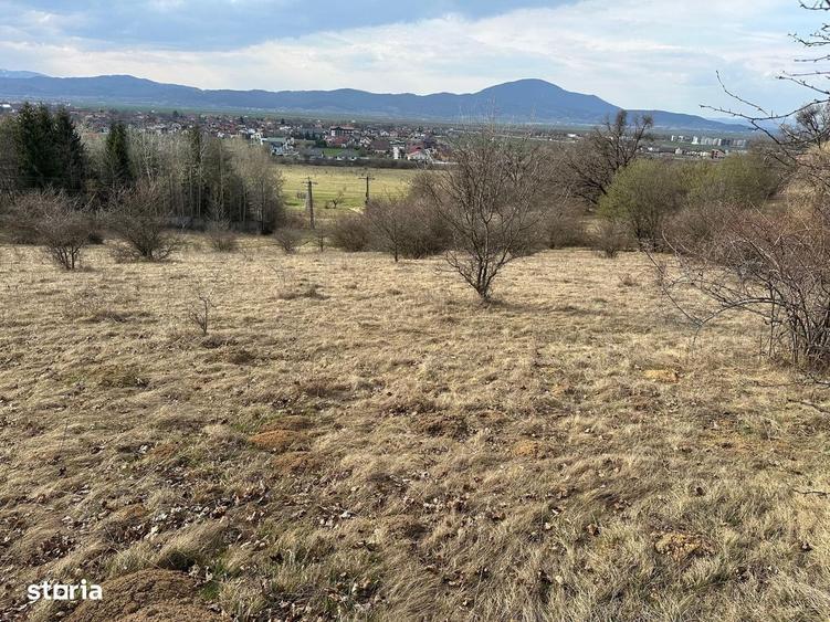 Teren de 6000 mp, în Cristian