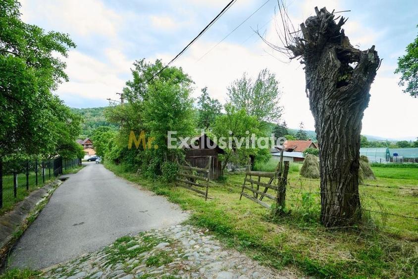 Casă cu 3 camere cu Teren 4696 Mp în Central