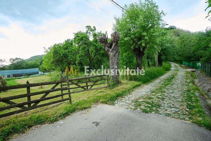 Casă cu 3 camere cu Teren 4696 Mp în Central