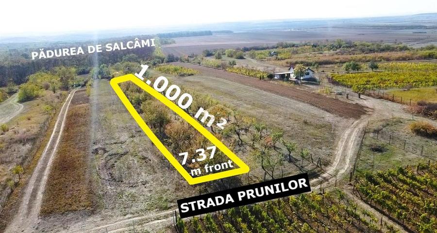 Teren Construcții intravilan de 1000 mp, în Sud