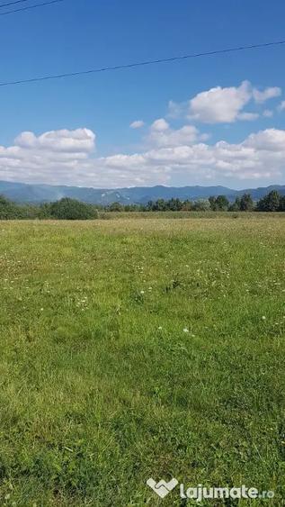 Rus, 1 ha teren extrav. - Dumbravita (Maramures) - 5