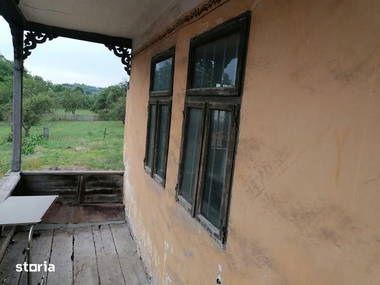 Teren intravilan cu casa musceleana - 6