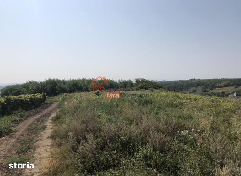 Teren de 19000 mp, în Aroneanu