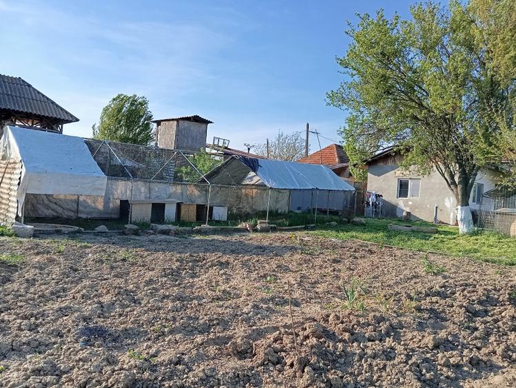 Casă individuală cu 4 camere cu Teren 6200 Mp în Moara Mocanului