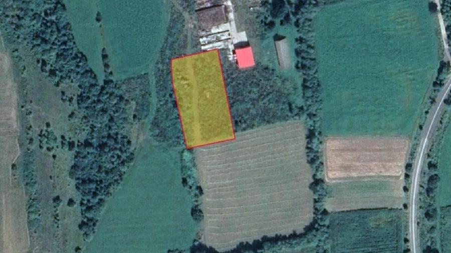 Teren extravilan de 20146 mp, în Șercaia