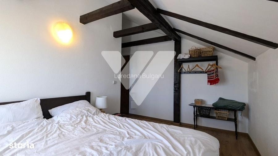 CABANA PALTINIS / SIBIU -priveliste superba / Oportunitate de BUSIN