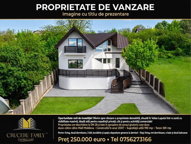 Spațiu comercial, de 190 mp, în Valea Lupului