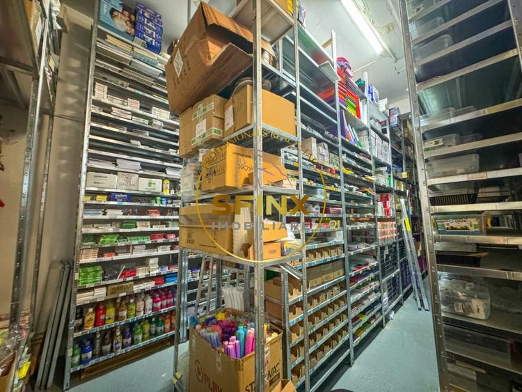 Spațiu industrial, de 103.34999847412 mp, în Theodor Pallady