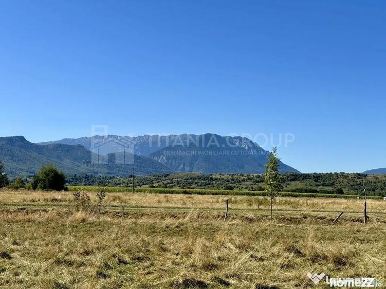 Teren de 1200 mp, în Sohodol
