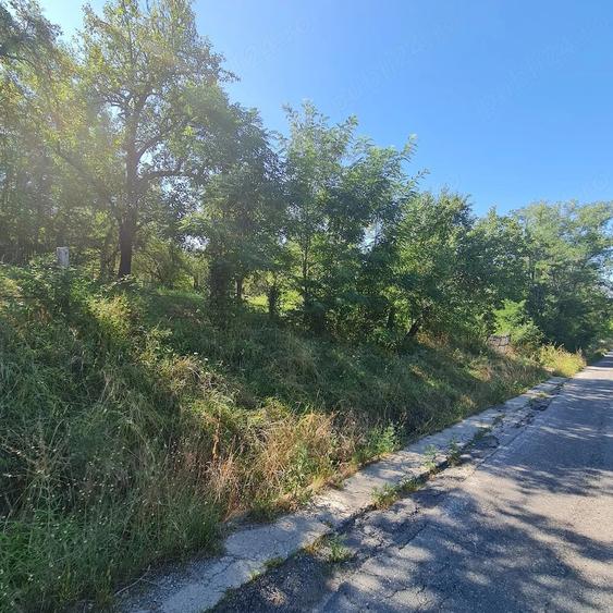 Teren de 7500 mp, în Prosia