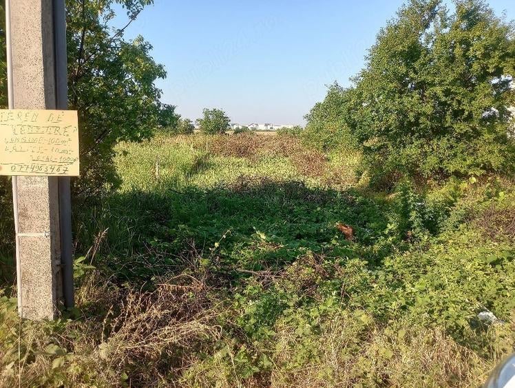 Teren de 1000 mp, în Dragomirești-Deal
