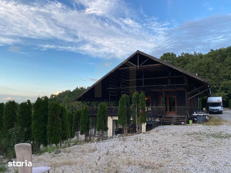 Vanzare teren 3000 mp, cabana, zona D D Rosca, Faget - 7
