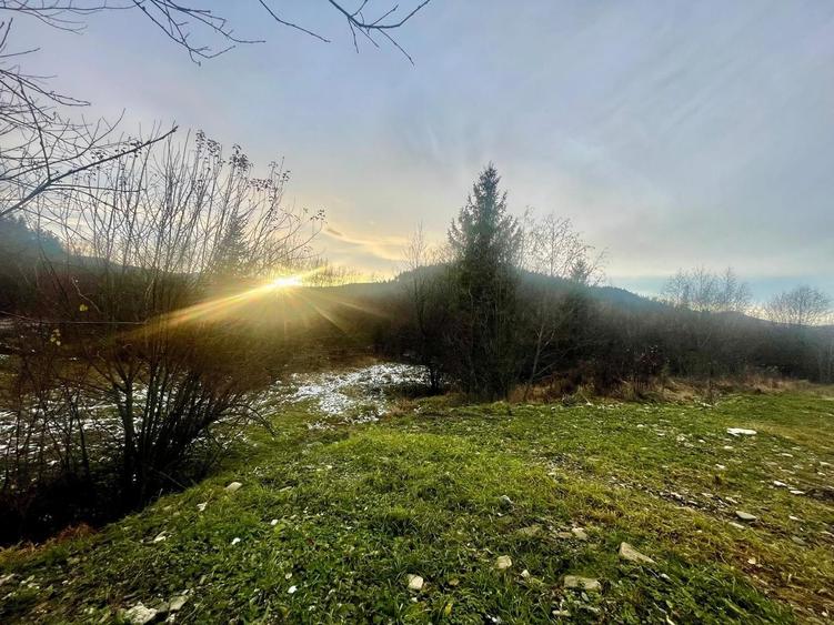 Teren Construcții intravilan de 22600 mp, în Sucevița