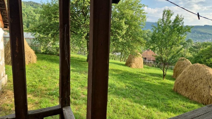 Vand teren in Valea Doftanei - 6
