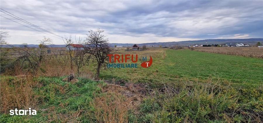 Teren de 2160 mp, în Partoș