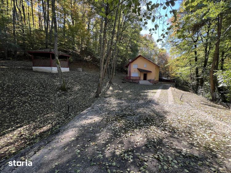Casă cu 4 camere cu Teren 1292 Mp în Drăganu