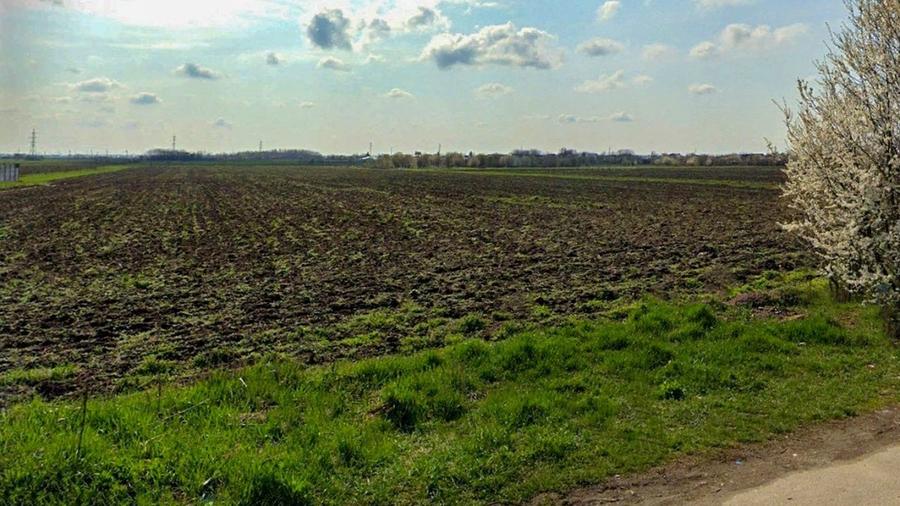 Teren Construcții intravilan de 6000 mp, în Săbăreni