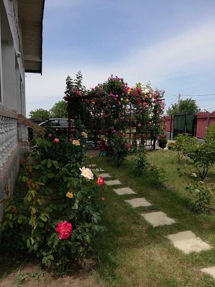 Casă cu 4 camere cu Teren 937 Mp în Mogoșești