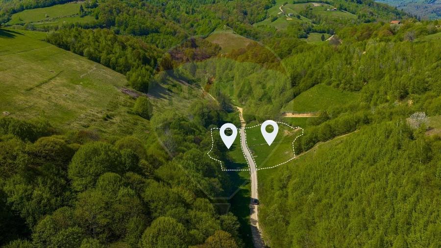 Teren agricol extravilan de 4363 mp, în Holbav