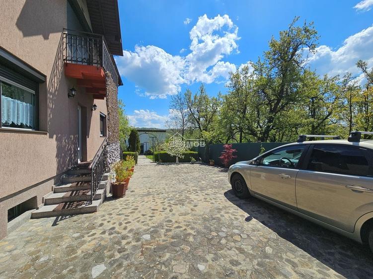 Locatie premium cu 2 constructii || Acces direct din DN71 – Dealu Mare, Dambovit - 21