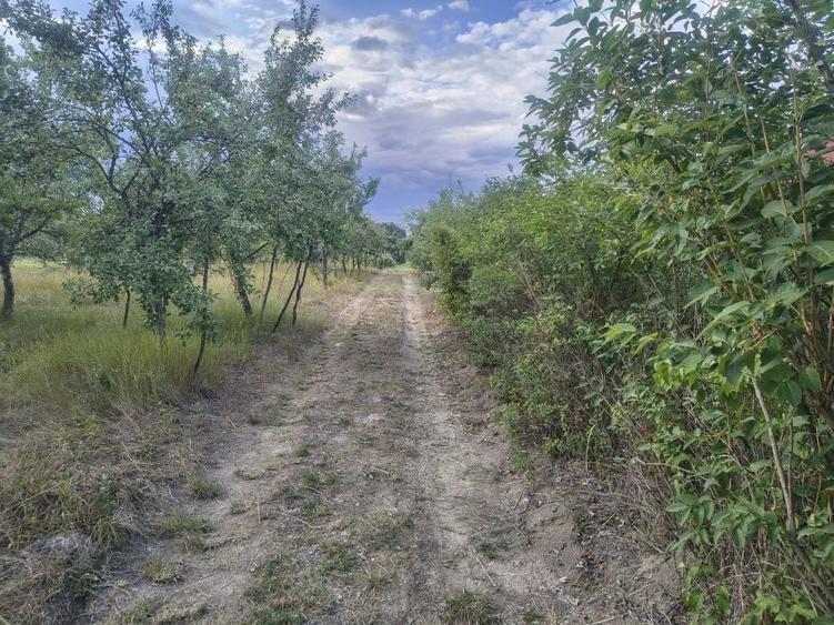 Casă cu 2 camere în Bocsig