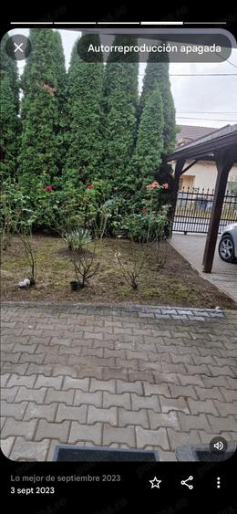 Casă cu 3 camere cu Teren 800 Mp în Sâncraiu de Mureș