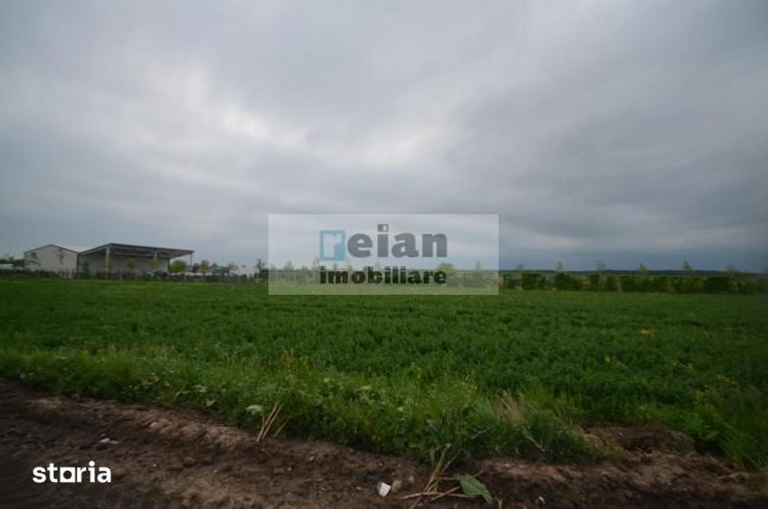 Teren de 70000 mp, în Dascălu