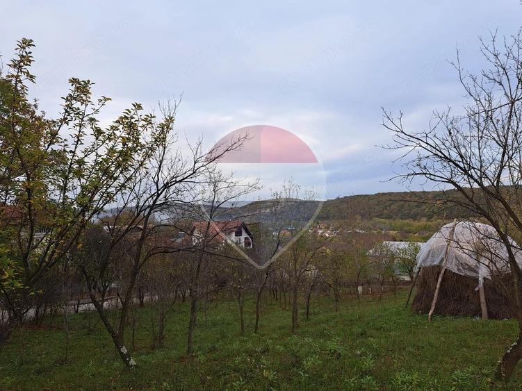 Teren de 3500 mp, în Poiana